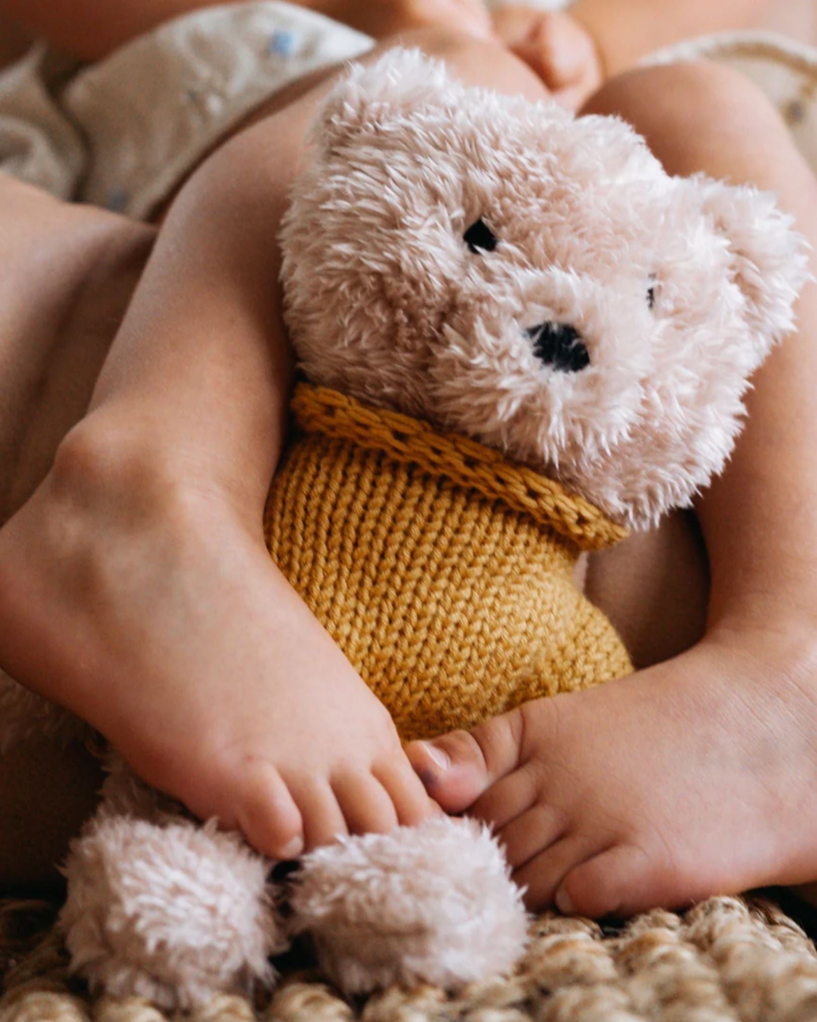Dulcie Bear | Medium