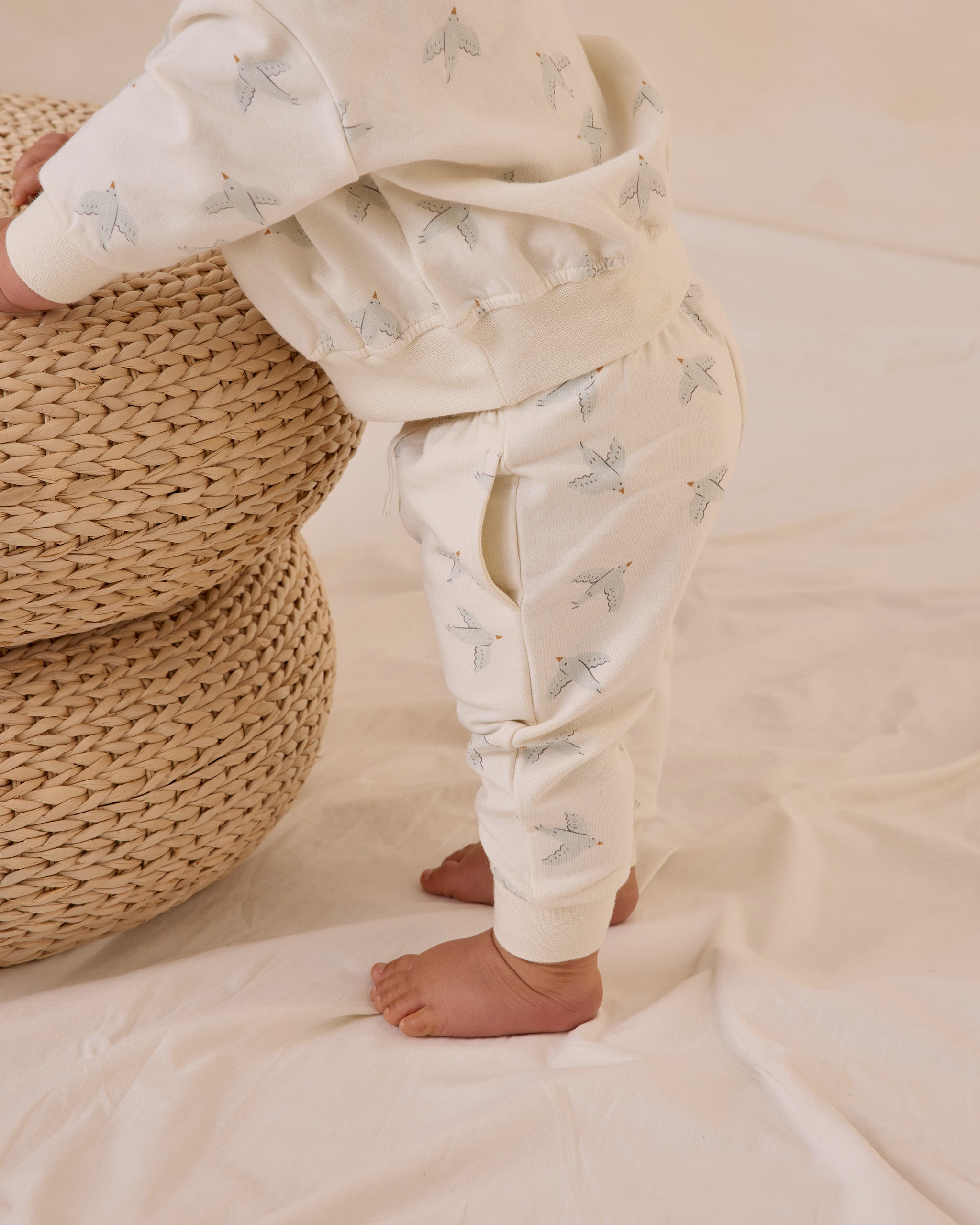 Relaxed Sweatpant | Birds
