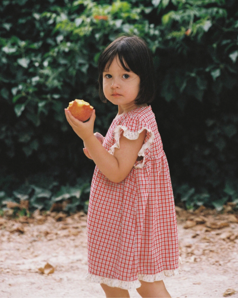 Daisy Dress | Red Check