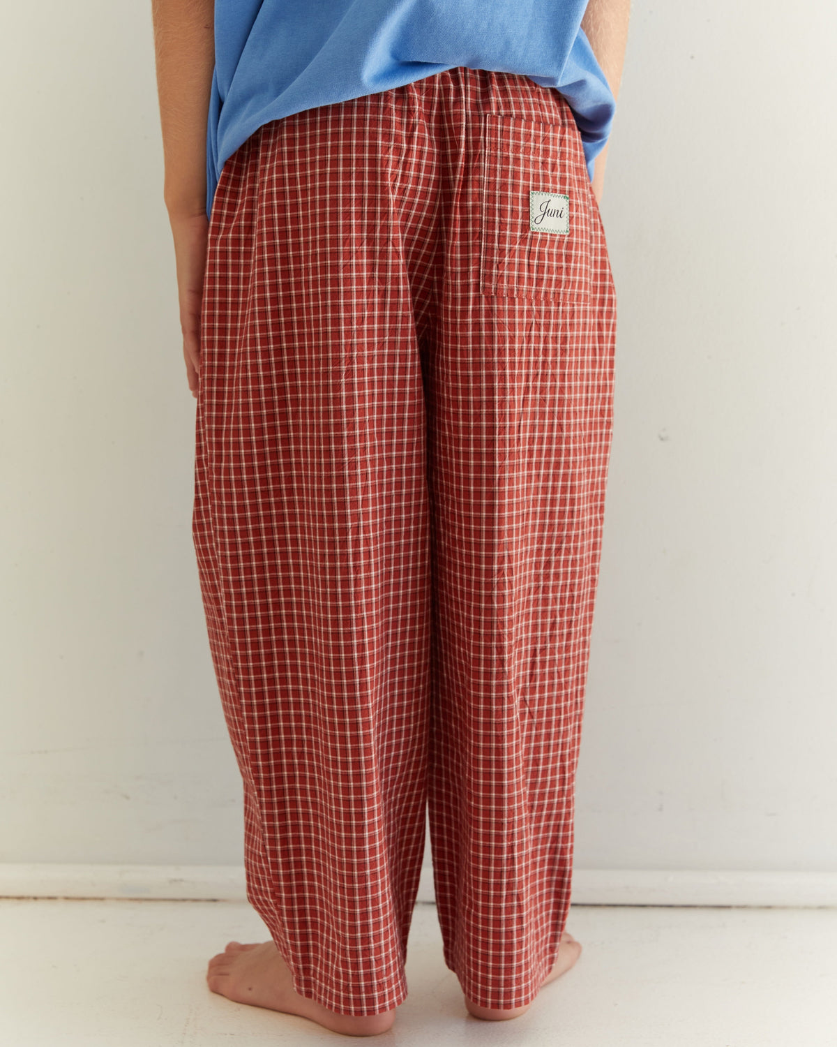 Benji Pant | Red Check